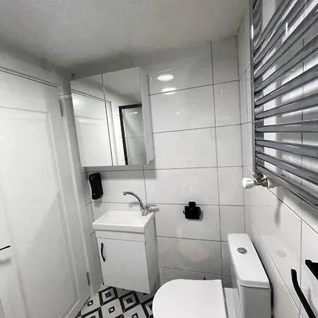 Luxurious And Comfortable Flat 7 Istanbul